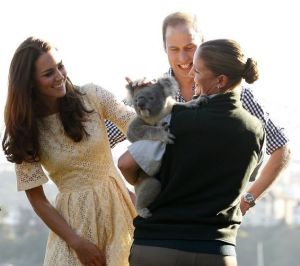 Kate and William with a young male koala at Taronga Zoo - royal tour - Sydney 2014.jpg